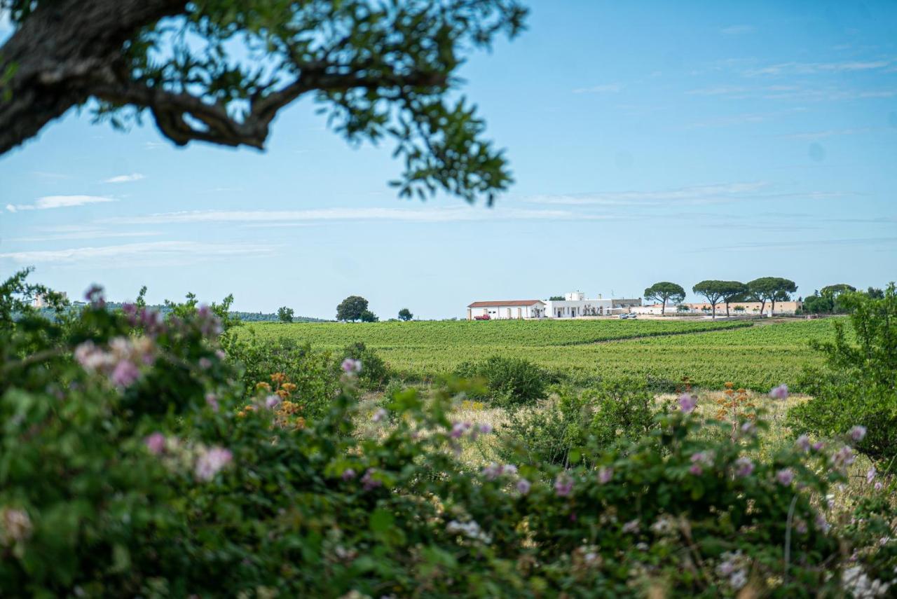 Le Masserie Zucaro Castel Del Monte  Eksteriør billede