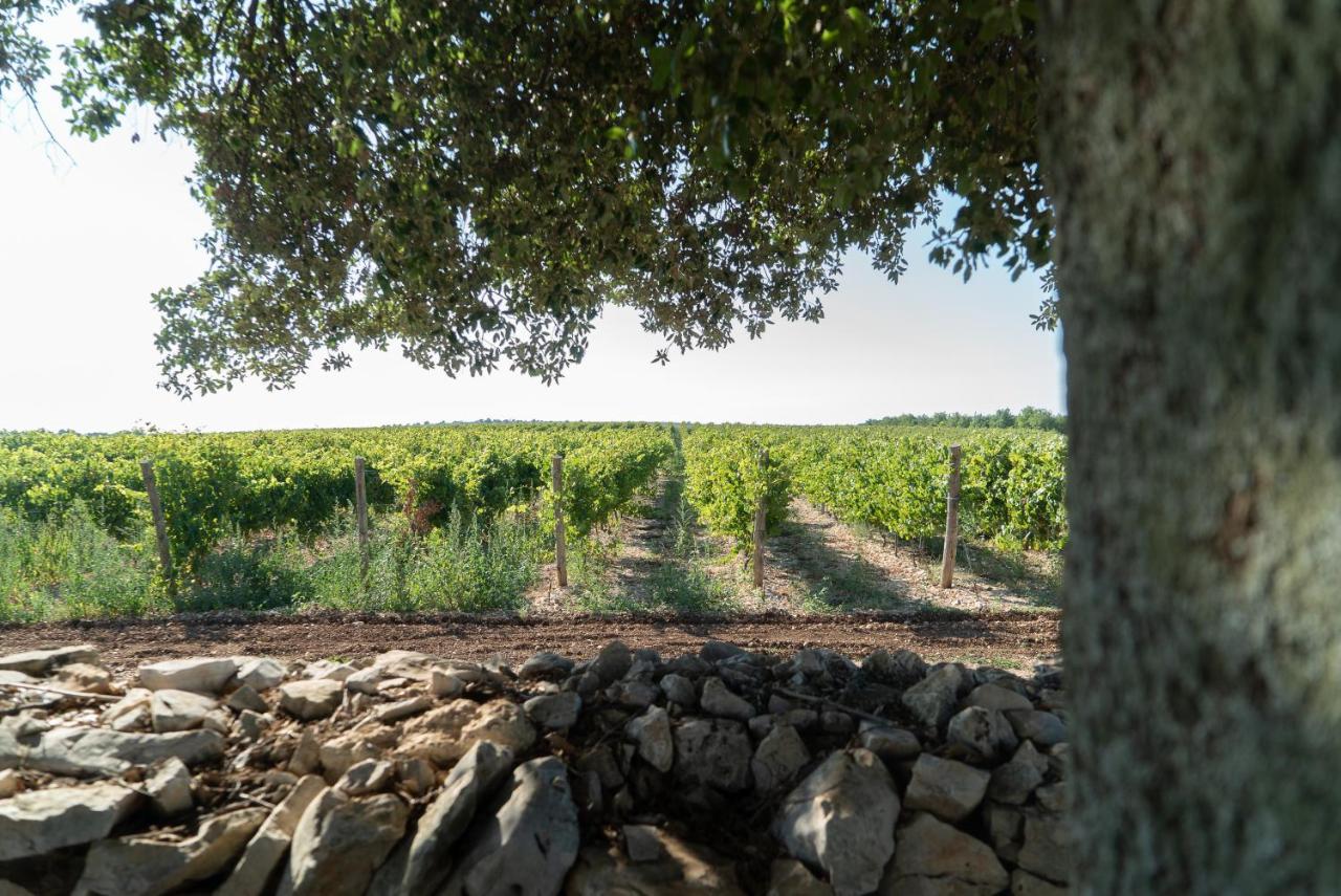Le Masserie Zucaro Castel Del Monte  Eksteriør billede
